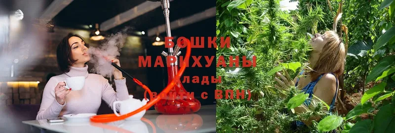 Марихуана SATIVA & INDICA  цены наркотик  Кинешма 